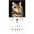 Календарь настенный перекидной на 2025 г., BRAUBERG, 12 листов, 29х29 см, "Смешные котики", 116165 116165