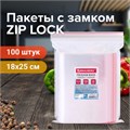 Пакеты с замком ZIP LOCK "зиплок", комплект 100 шт., 180х250 мм, ПВД, толщина 40 микрон, BRAUBERG, 606214 606214