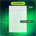 Пакет БОПП с клеевым клапаном, КОМПЛЕКТ 100 шт., 25х35+4 см, толщина 30 мкм, с усиленным швом 608602