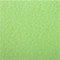 Салфетки бумажные, 250 шт., 24х24 см, LAIMA, зеленые (пастельный цвет), 100% целлюлоза, 111952 111952