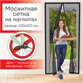 Москитная сетка дверная на магнитах 100х210 см, антимоскитная, черная, DASWERK, 607985 607985