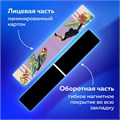 Закладки для книг МАГНИТНЫЕ, "TROPICS", набор 12 шт., 60x20 мм, BRAUBERG, 113172 113172