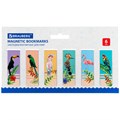 Закладки для книг МАГНИТНЫЕ, "TROPICS", набор 12 шт., 60x20 мм, BRAUBERG, 113172 113172