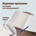 Обложки ПП для учебников старших классов МАЛОГО ФОРМАТА, КОМПЛЕКТ 5 шт., КЛЕЙКИЙ КРАЙ, 70 мкм, 230х380 мм, прозрачные, ПИФАГОР, 227411 227411