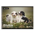 Альбом для рисования А4, 24 листа, гребень, обложка картон, BRAUBERG, 195х285 мм, "Питомцы" (2 вида), 106696 106696
