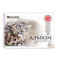 Альбом для рисования, А4, 40 листов, гребень, обложка картон, BRAUBERG, 205х290 мм, "Благородные кошки" (2 вида), 102831 102831