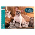 Альбом для рисования, А4, 40 листов, спираль, обложка картон, HATBER, 205х300 мм, "Любимцы" (5 видов), 004142, 40А4Всп 101505