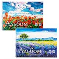 Альбом для рисования, А4, 48 л., гребень, обложка картон, BRAUBERG, 205х290 мм, "Летний пейзаж" (2 вида), 106328 106328