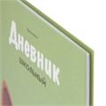 Дневник 5-11 класс 48 л., твердый, BRAUBERG, выборочный лак, с подсказом, "Суровый Кот", 107196 107196