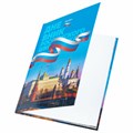 Дневник 1-11 класс 40 л., твердый, BRAUBERG, ламинация, цветная печать, "РОССИЙСКОГО ШКОЛЬНИКА-7", 106859 106859