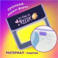 Папка для тетрадей ЮНЛАНДИЯ А5, пластик, 2 отделения, клапан на липучке, "Bored cat", 272189 272189