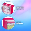 Папка для труда BRAUBERG А4, 2 отделения, пластик, молния сверху, органайзер, "Anime party", 272214 272214