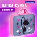Папка на молнии с ручками BRAUBERG А4, 1 отделение, полиэстер, 80 мм, "Elegant cat", 271481 271481