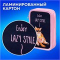 Пенал ПИФАГОР, 3 отделения, ламинированный картон, 19х11 см, "Lazy cat", 272252 272252