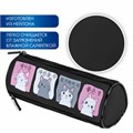 Пенал мягкий BRAUBERG, 3 отделения, нейлон, 21х7х7 см, "Anime Cats", 271580 271580