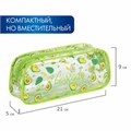 Пенал-косметичка BRAUBERG LUCENT на молнии, прозрачный, "Avocado", 21х5х9 см, 270054 270054