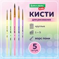 Кисти ПОНИ набор 5 шт. (круглые № 1, 2, 3,4, 5), блистер, BRAUBERG KIDS, 201072 201072