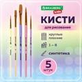 Кисти СИНТЕТИКА набор 5 шт. (круглые № 1, 2, 5, плоские № 5, 8), блистер, BRAUBERG KIDS, 201075 201075