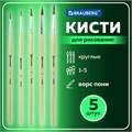 Кисти BRAUBERG, набор 5 шт. (пони, круглые № 1, 2, 3, 4, 5), блистер, 200222 200222