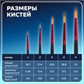 Кисти BRAUBERG PREMIUM, набор 5 шт. (синтетика, круглая № 1, 2, 3, 4, 5), блистер, 201025 201025