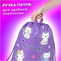 Мешок для обуви BRAUBERG KIDS, с петлей, 42х34 см, "Playing kittens", 272413 272413