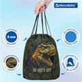 Мешок для обуви BRAUBERG PREMIUM, карман, подкладка, светоотражайка, 43х33 см, Dino attack, 272424 272424