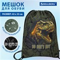 Мешок для обуви BRAUBERG PREMIUM, карман, подкладка, светоотражайка, 43х33 см, Dino attack, 272424 272424