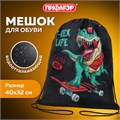 Мешок для обуви ПИФАГОР, 1 отделение, 40х32 см, "T-Rex", 271606 271606