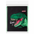Мешок для обуви ПИФАГОР, 1 отделение, 42х34 см, "Dino roar", 272387 272387