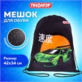 Мешок для обуви ПИФАГОР, 1 отделение, 42х34 см, "Dive into drive", 272388 272388