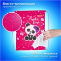 Мешок для обуви ПИФАГОР, 1 отделение, 42х34 см, "Panda time", 271601 271601