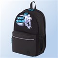 Рюкзак BRAUBERG FASHION CITY универсальный, 2 отделения, "Skateboard", черный, 46х31х15 см, 229969 229969