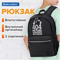 Рюкзак BRAUBERG FASHION CITY универсальный, 2 отделения, Not found, черный, 46х31х15 см, 272571 272571
