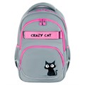 Рюкзак BRAUBERG MOTION, 2 отделения, 3 кармана, "Crazy cat", 41х28х17 см, 273115 273115