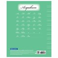 Тетрадь 12 л. BRAUBERG ЭКО "5-КА", узкая линия, обложка плотная мелованная бумага, ЗЕЛЕНАЯ, 104765 104765