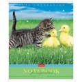 Тетрадь А5 48 л. HATBER скоба, клетка, обложка картон, "Усы, лапы, хвост" (5 видов в спайке), 48Т5В1 404482