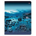 Тетрадь А5 48 л. АЛЬТ скоба, клетка, глянцевый лак, "Пейзажи" (5 видов), 7-48-637 404118