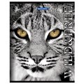 Тетрадь А5, 48 л., BRAUBERG скоба, клетка, обложка картон, ДИКИЕ И СВОБОДНЫЕ, 401810 401810