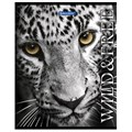 Тетрадь А5, 48 л., BRAUBERG скоба, клетка, обложка картон, ДИКИЕ И СВОБОДНЫЕ, 401810 401810