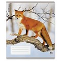 Тетрадь обложка пластик, А5, 48 л., скоба, клетка, ERICH KRAUSE, "Лисы" (микс в спайке), 60693 405269