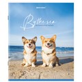 Тетрадь А5, 80 л., BRAUBERG, скоба, клетка, обложка картон, "By the Sea", 404410 404410