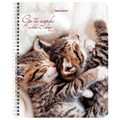 Тетрадь А5, 96 л., BRAUBERG, гребень, клетка, обложка картон, "Котики" (микс в спайке), 404425 404425