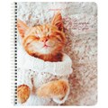 Тетрадь А5, 96 л., BRAUBERG, гребень, клетка, обложка картон, "Котики" (микс в спайке), 404425 404425