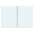 Тетрадь А5, 96 л., BRAUBERG, скоба, клетка, выборочный лак, БЛЭК ДЖЭК, 401848 401848