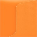 Тетрадь на кольцах А5 175х220 мм, 120 л., пластик, на липучке, с разделителями, BRAUBERG, Оранжевый, 404636 404636