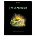 Тетради предметные, КОМПЛЕКТ 12 ПРЕДМЕТОВ, 48 л., глянцевый УФ-лак, BRAUBERG, "SHADE", 404324 404324