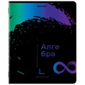 Тетради предметные, КОМПЛЕКТ 12 ПРЕДМЕТОВ, 48 л., матовая ламинация, лак, BRAUBERG, "BRIGHT COLOURS", 404838 404838