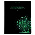 Тетради предметные, КОМПЛЕКТ 12 ПРЕДМЕТОВ, 48 листов, глянцевый УФ-лак, BRAUBERG, "DARK", 404028 404028
