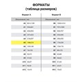 Тетрадь предметная "AVOCADO" 48 л., глянцевый лак, АНГЛИЙСКИЙ ЯЗЫК, клетка, BRAUBERG, 404275 404275