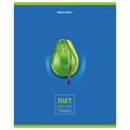 Тетрадь предметная "AVOCADO" 48 л., глянцевый лак, ЛИТЕРАТУРА, линия, подсказ, BRAUBERG, 404281 404281